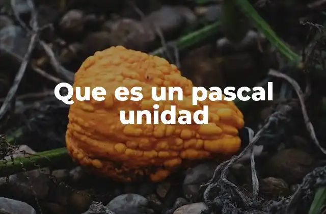 Que es un Pascal Unidad