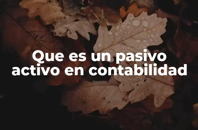 Que es un Pasivo Activo en Contabilidad