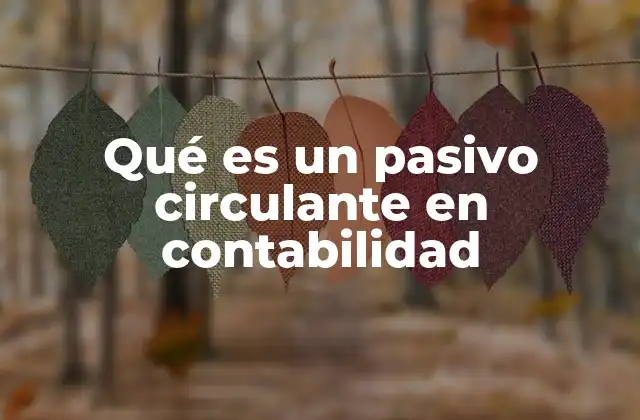 Qué es un Pasivo Circulante en Contabilidad