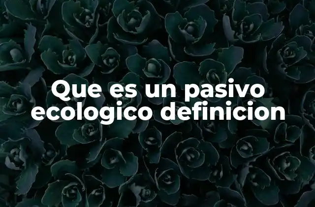 Que es un Pasivo Ecologico Definicion