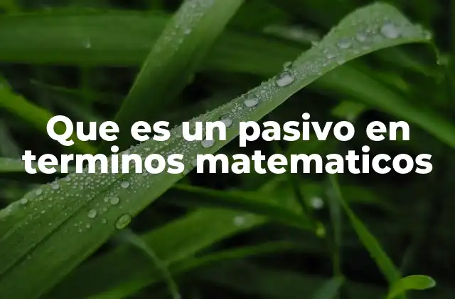 Que es un Pasivo en Terminos Matematicos