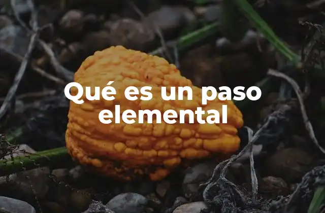 Qué es un Paso Elemental