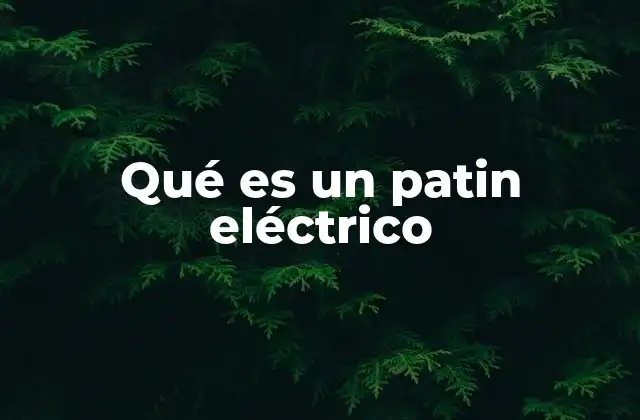 Qué es un Patin Eléctrico 2 Características esenciales del patin eléctrico