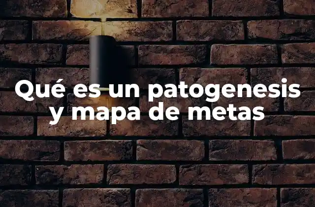 Qué es un Patogenesis y Mapa de Metas