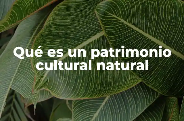 Qué es un Patrimonio Cultural Natural