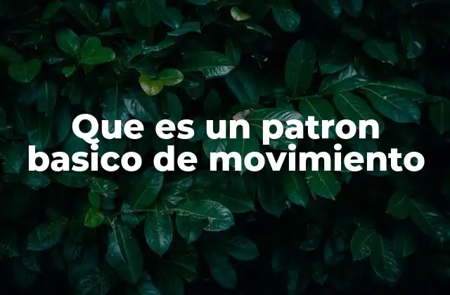 Que es un Patron Basico de Movimiento