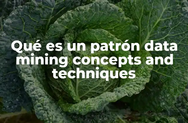Qué es un Patrón Data Mining Concepts And Techniques 2 La importancia de los patrones en la toma de decisiones