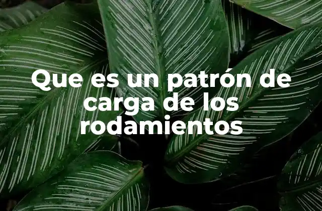 Que es un Patrón de Carga de los Rodamientos 2 Factores que influyen en el patrón de carga de los rodamientos