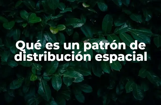 Qué es un Patrón de Distribución Espacial