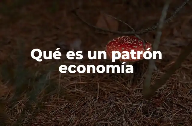 Qué es un Patrón Economía