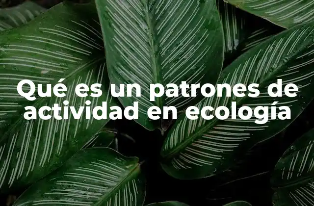 Qué es un Patrones de Actividad en Ecología