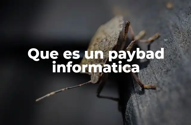 Que es un Paybad Informatica