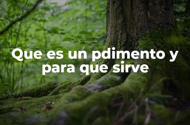 Que es un Pdimento y para que Sirve