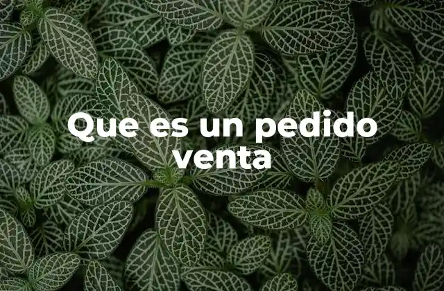 Que es un Pedido Venta