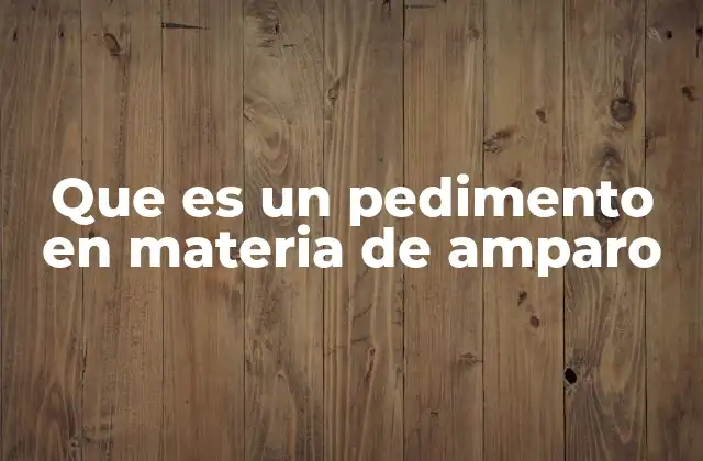 El amparo como mecanismo de defensa de derechos