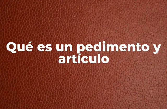 Qué es un Pedimento y Artículo