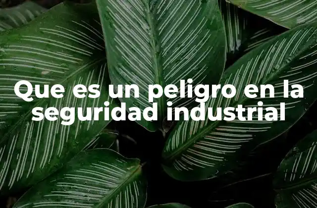 Que es un Peligro en la Seguridad Industrial