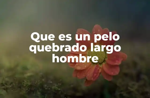 Que es un Pelo Quebrado Largo Hombre