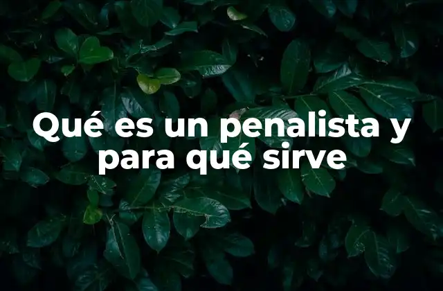 Qué es un Penalista y para Qué Sirve