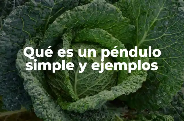 Qué es un Péndulo Simple y Ejemplos
