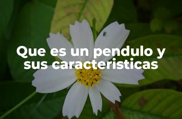 El funcionamiento del péndulo y su importancia en la física