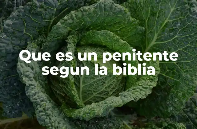Que es un Penitente Segun la Biblia