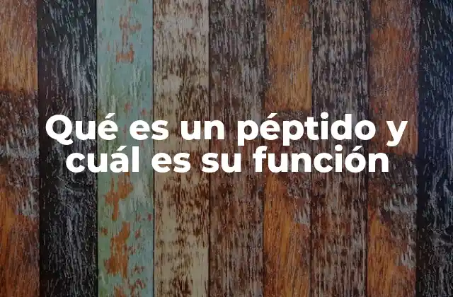 Qué es un Péptido y Cuál es Su Función