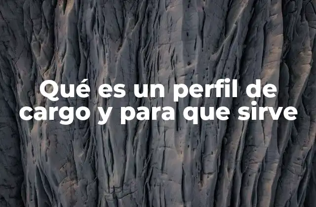 Qué es un Perfil de Cargo y para que Sirve