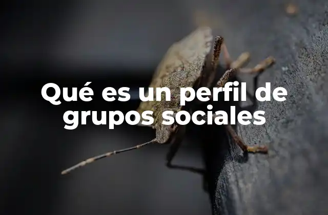 Qué es un Perfil de Grupos Sociales