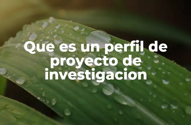 La importancia de estructurar un proyecto de investigación