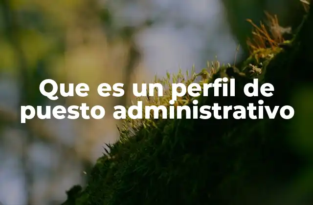Que es un Perfil de Puesto Administrativo 2 Cómo estructura una empresa su documentación de puestos