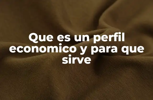 Que es un Perfil Economico y para que Sirve