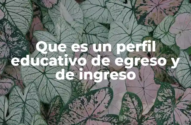 Que es un Perfil Educativo de Egreso y de Ingreso