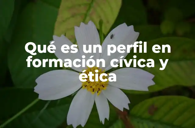 Qué es un Perfil en Formación Cívica y Ética