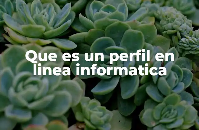 Que es un Perfil en Linea Informatica