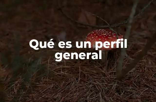 Qué es un Perfil General