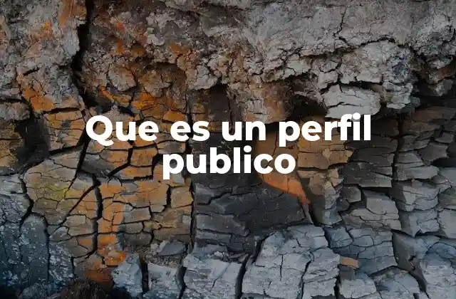 Que es un Perfil Publico