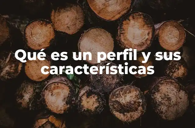 Qué es un Perfil y Sus Características