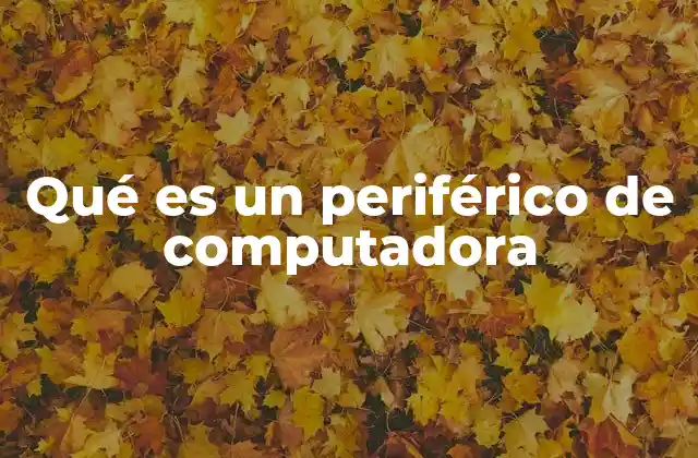 Qué es un Periférico de Computadora