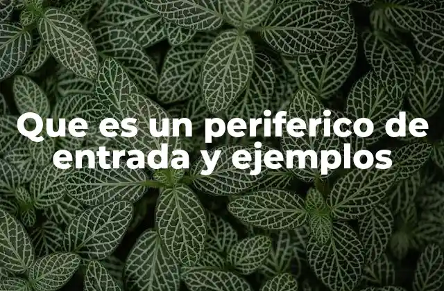 Que es un Periferico de Entrada y Ejemplos