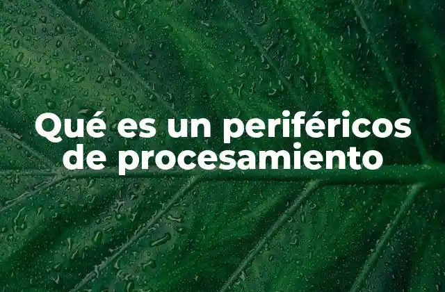 Qué es un Periféricos de Procesamiento