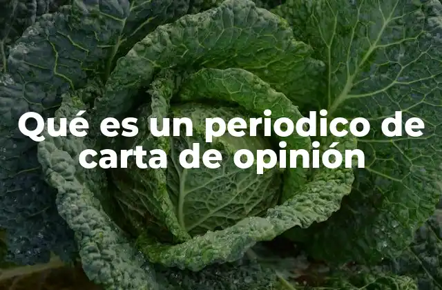 Qué es un Periodico de Carta de Opinión 2 La participación ciudadana en los medios de comunicación