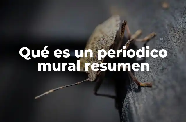 Qué es un Periodico Mural Resumen