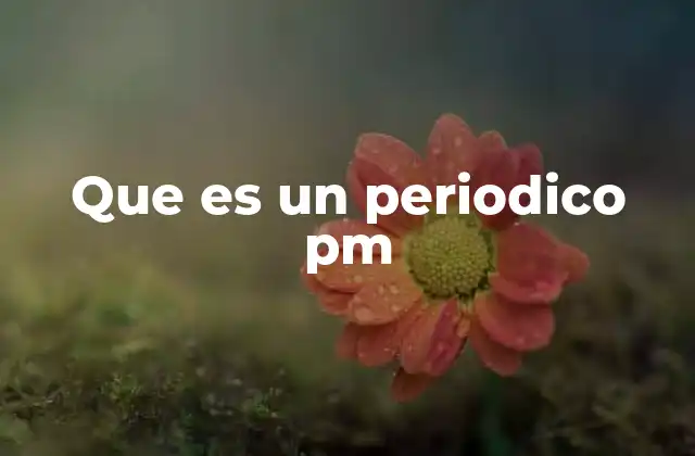 Que es un Periodico Pm