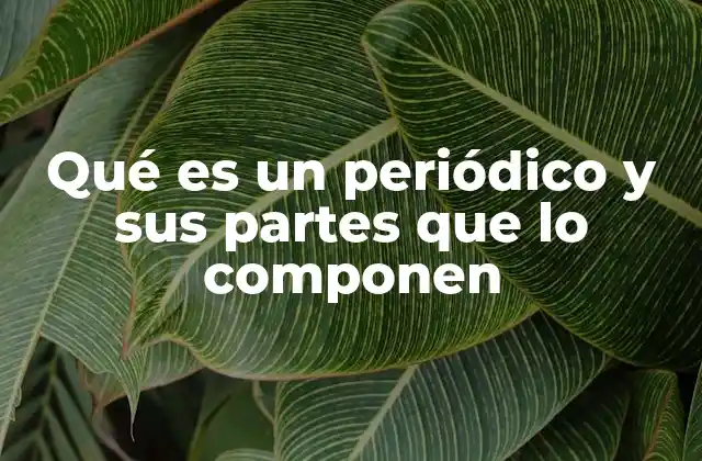 Qué es un Periódico y Sus Partes que Lo Componen