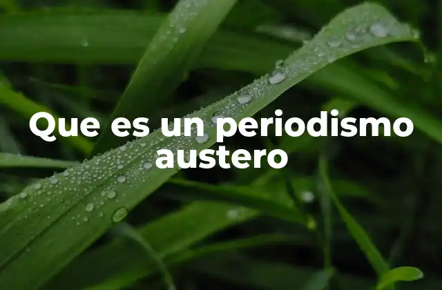 Que es un Periodismo Austero