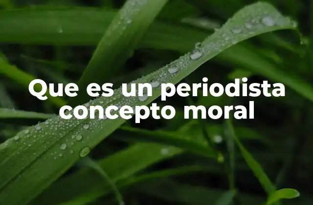 Que es un Periodista Concepto Moral