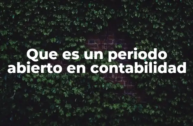 Que es un Periodo Abierto en Contabilidad