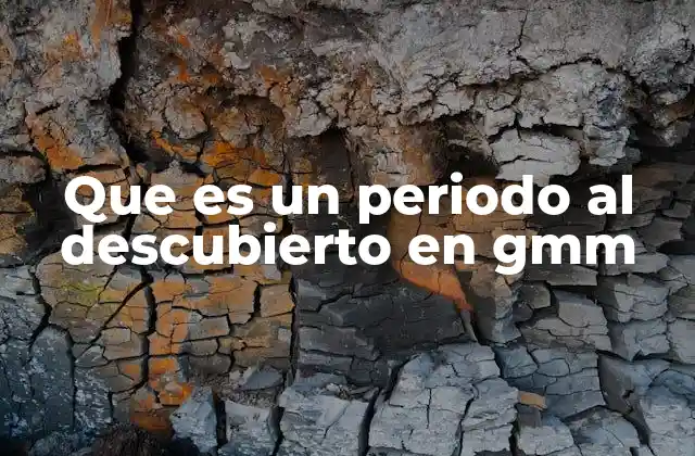 Que es un Periodo Al Descubierto en Gmm