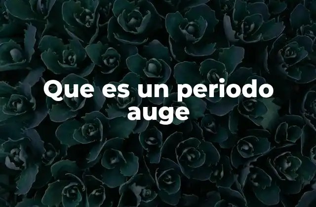 Que es un Periodo Auge
